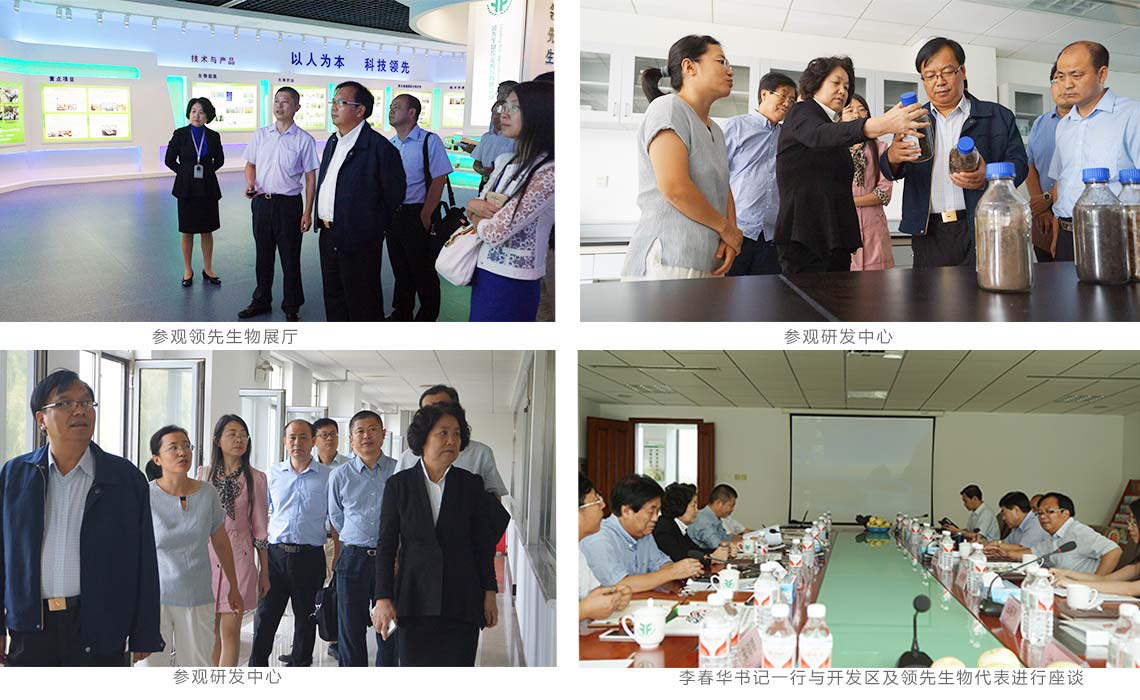 中国社会科学院城市发展与环境研究所李春华书记一行来凯时娱乐调研