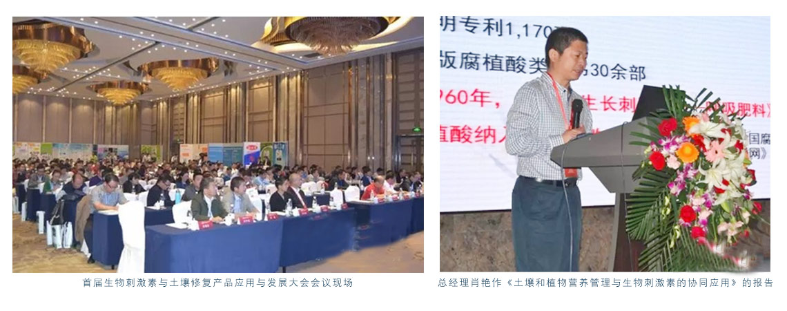公司总经理肖艳参加“首届生物刺激素与土壤修复产品应用与发展大会”并做主题报告