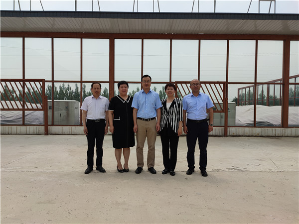 农业农村部微生物肥料和食用菌菌种质量监督检验测试中心李俊主任、姜昕主任来凯时娱乐公司调研、指导工作