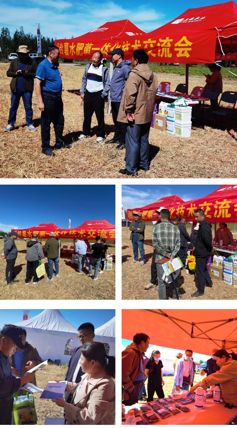 “乡”约沽源 “薯”光无限 | 凯时娱乐生物亮相久恩农业田间开放日