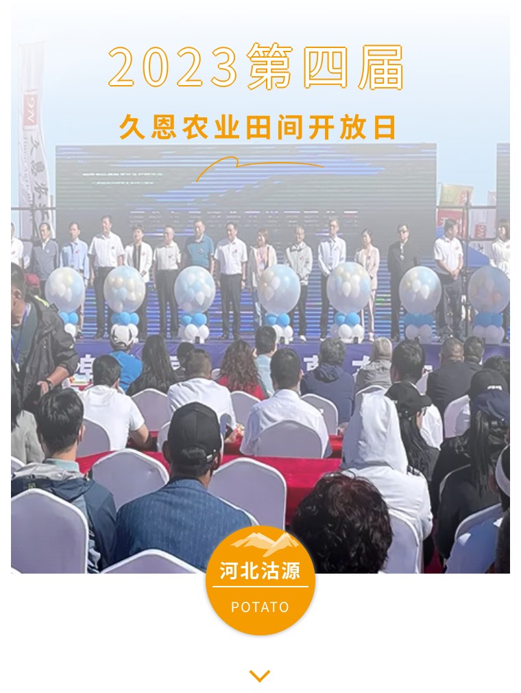 “乡”约沽源 “薯”光无限 | 凯时娱乐生物亮相久恩农业田间开放日
